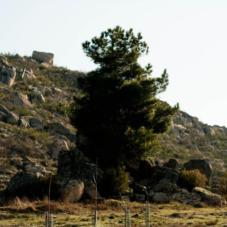 הוילה Alijó Quinta Do Chaozinho מראה חיצוני תמונה