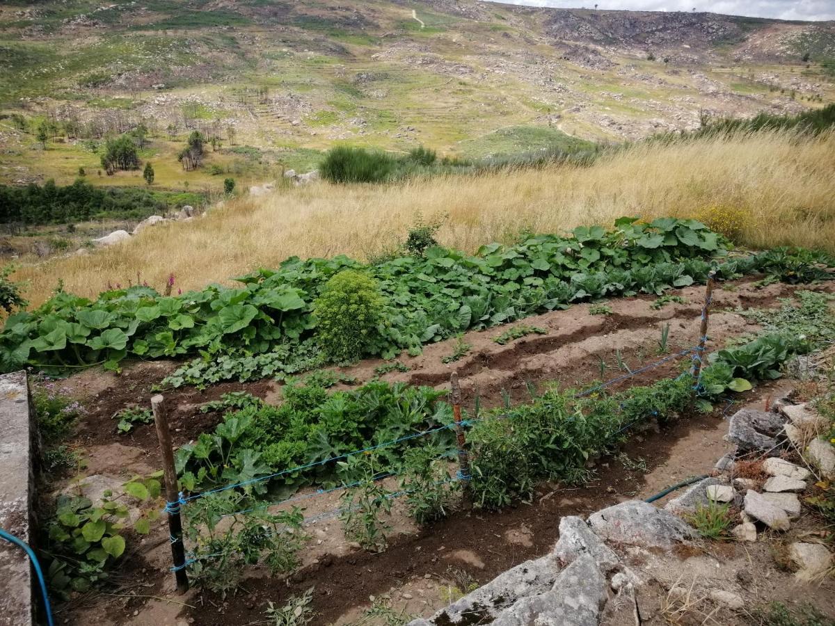 הוילה Alijó Quinta Do Chaozinho מראה חיצוני תמונה